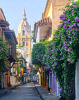 Colonial Houses