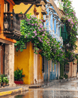Colonial Houses