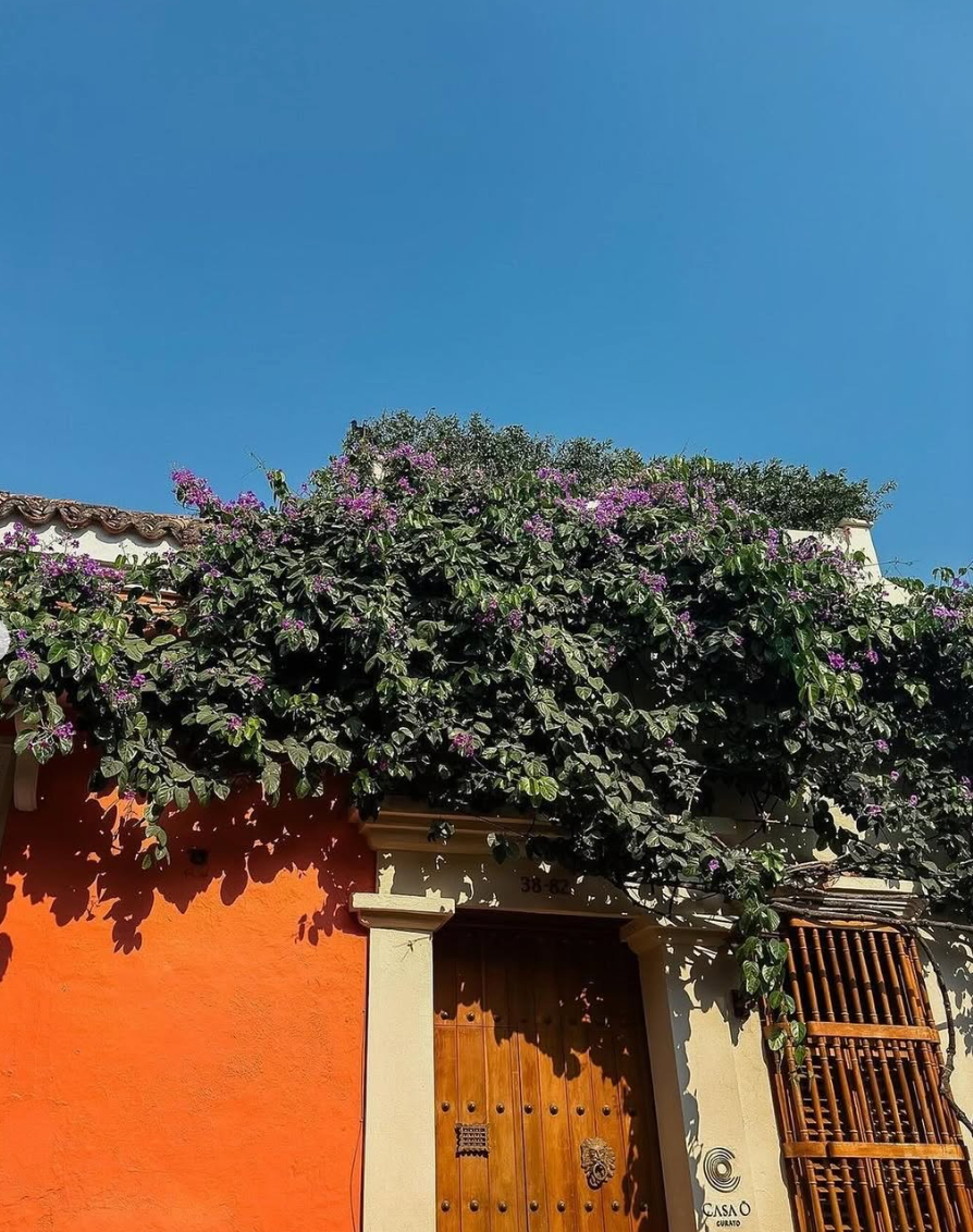 Colonial Houses
